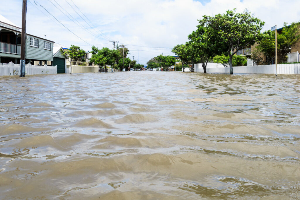 This is an image of a flooded residential street in Queensland. that would be eligible for disaster assistance loans